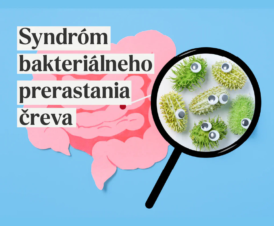 SIBO. Všetko o chorobe postihujúcej tenké črevo