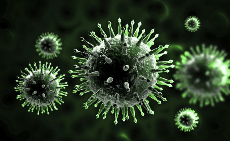 Mikrobiota a imunita v chrípkovom období